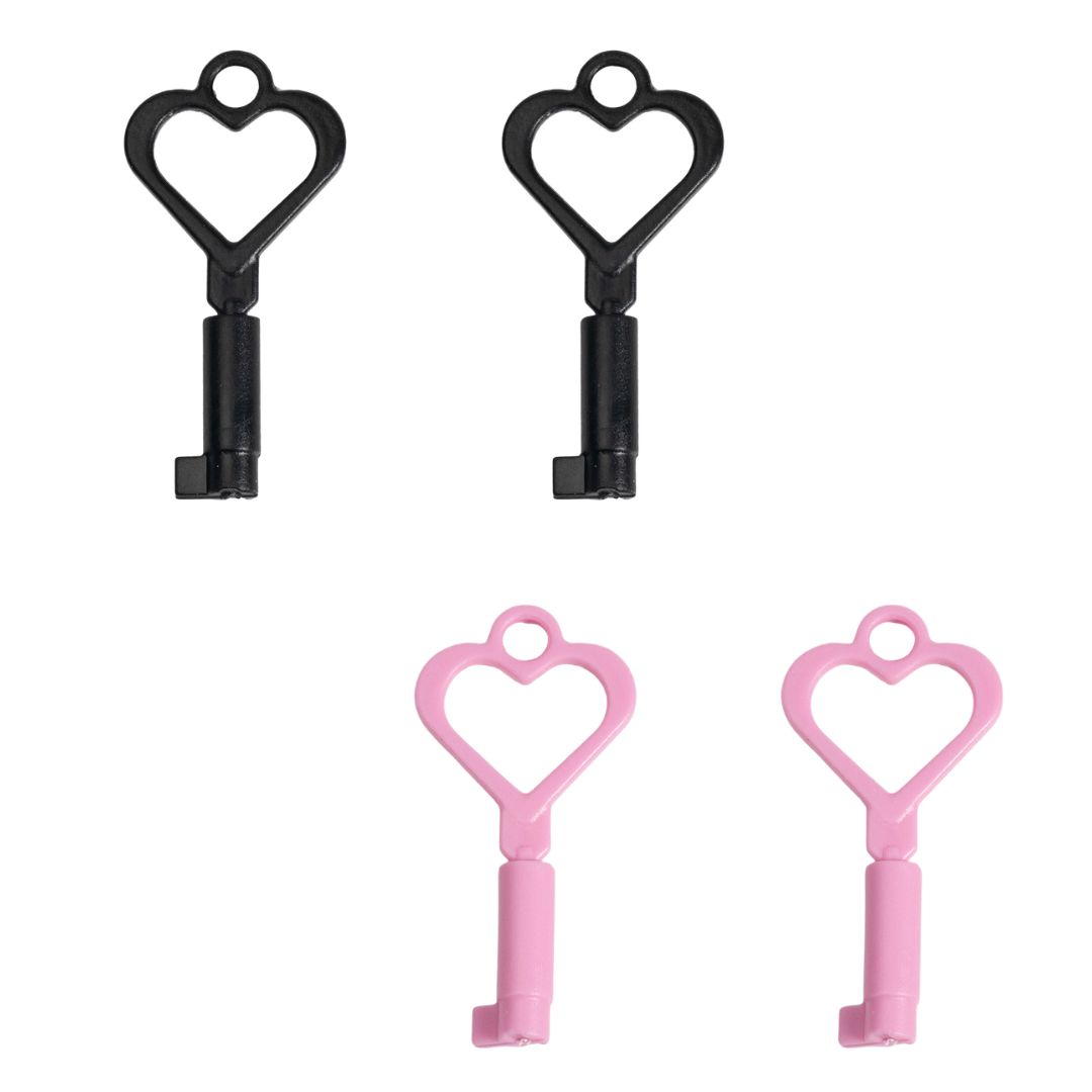 Plastic Chastity Cage Travel Lock 2 Pack