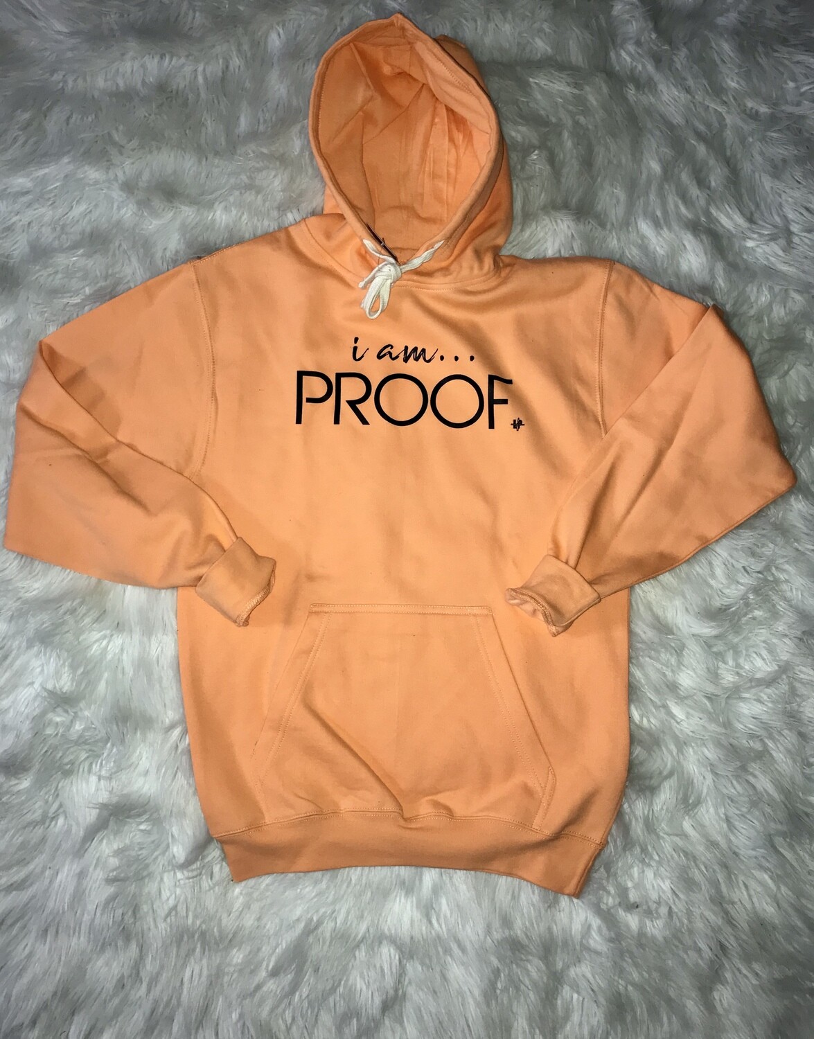 “i am PROOF” Spring Hoodies (click on photo to view available colors)