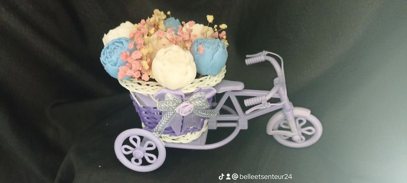 vélo violet