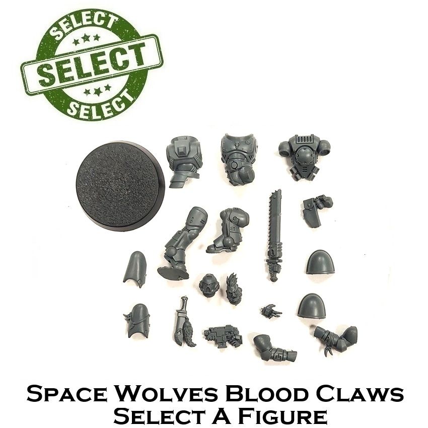 Space Wolves NEW Blood Claws - SELECT A FIGURE