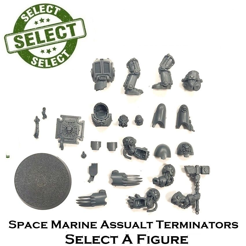 Space Marines Assualt Terminators Squad - SELECT A FIGURE