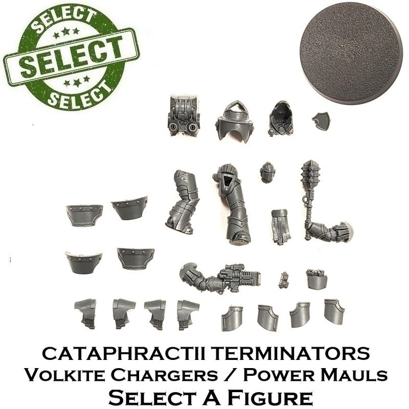 Legion Astartes Cataphractii Terminators with Volkite Chargers / Power Mauls - SELECT A FIGURE