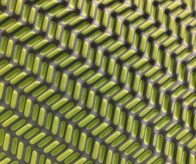 TwisterCane Bio Foam Regular