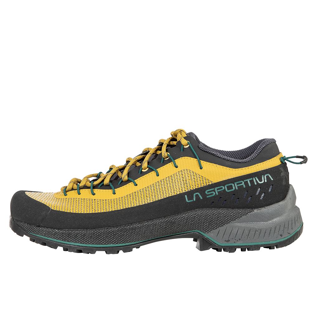 TX4 EVO ST Approach Shoes, Color: Savana/Onyx, Size: 42