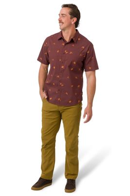 Phil A  Shirt