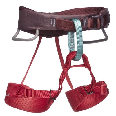 Kid&#39;s Momentum Harness