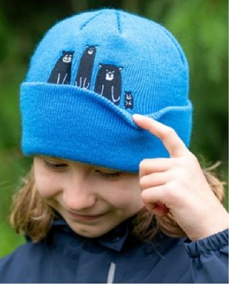 Bear's Den Toque
