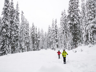 Women’s Revo™ Trail Snowshoes