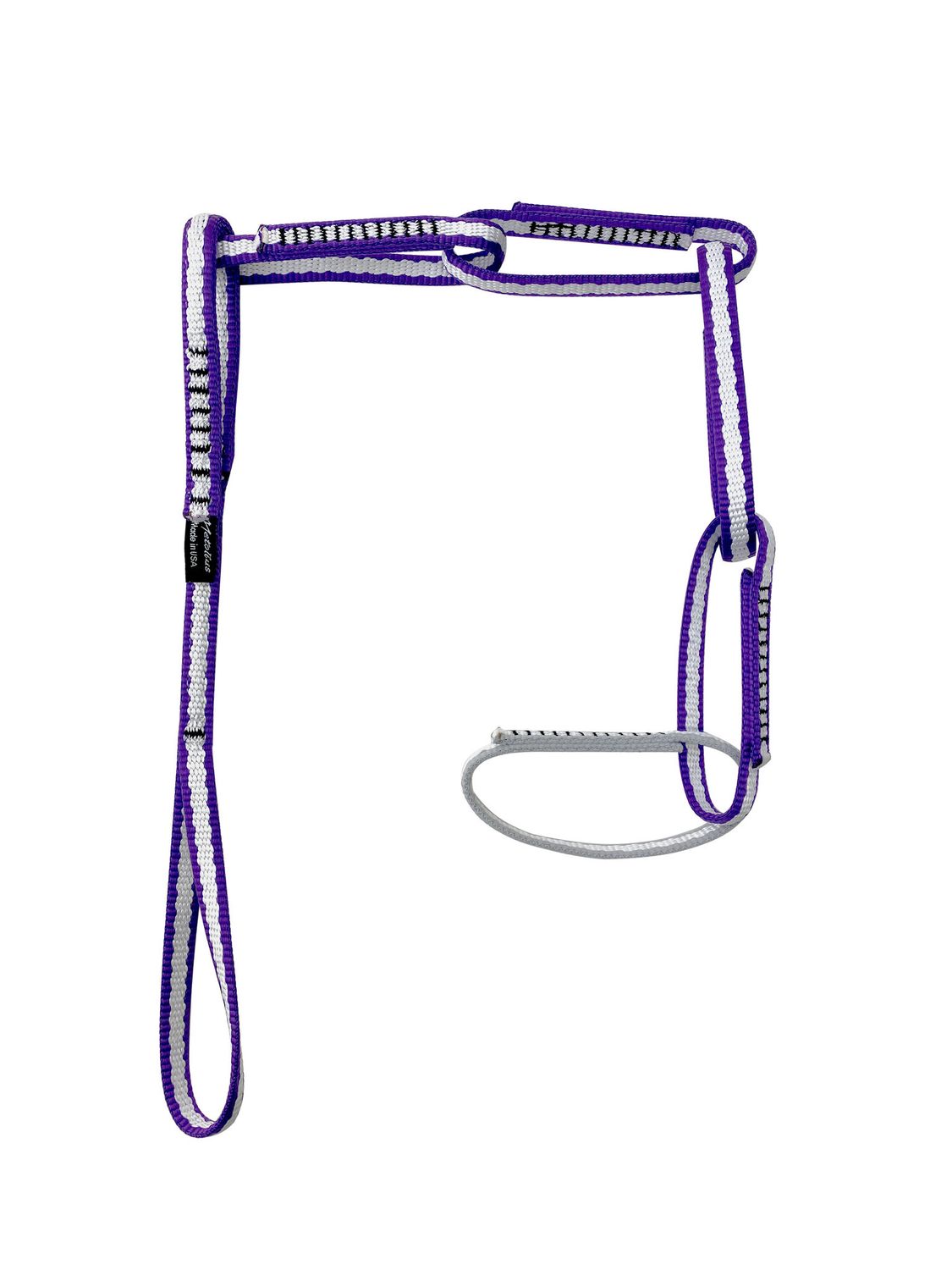 Alpine PAS, Color: Purple/Silver