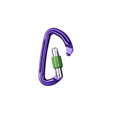 Session Screw Gate Locking Carabiner