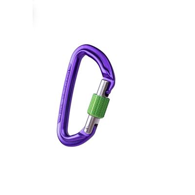 Session Screw Gate Locking Carabiner