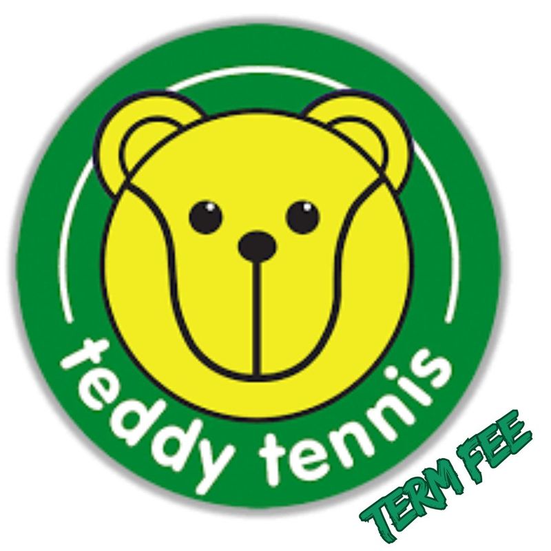 Teddy Tennis Lessons