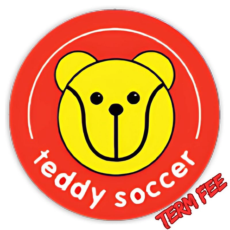 Teddy soccer lessons