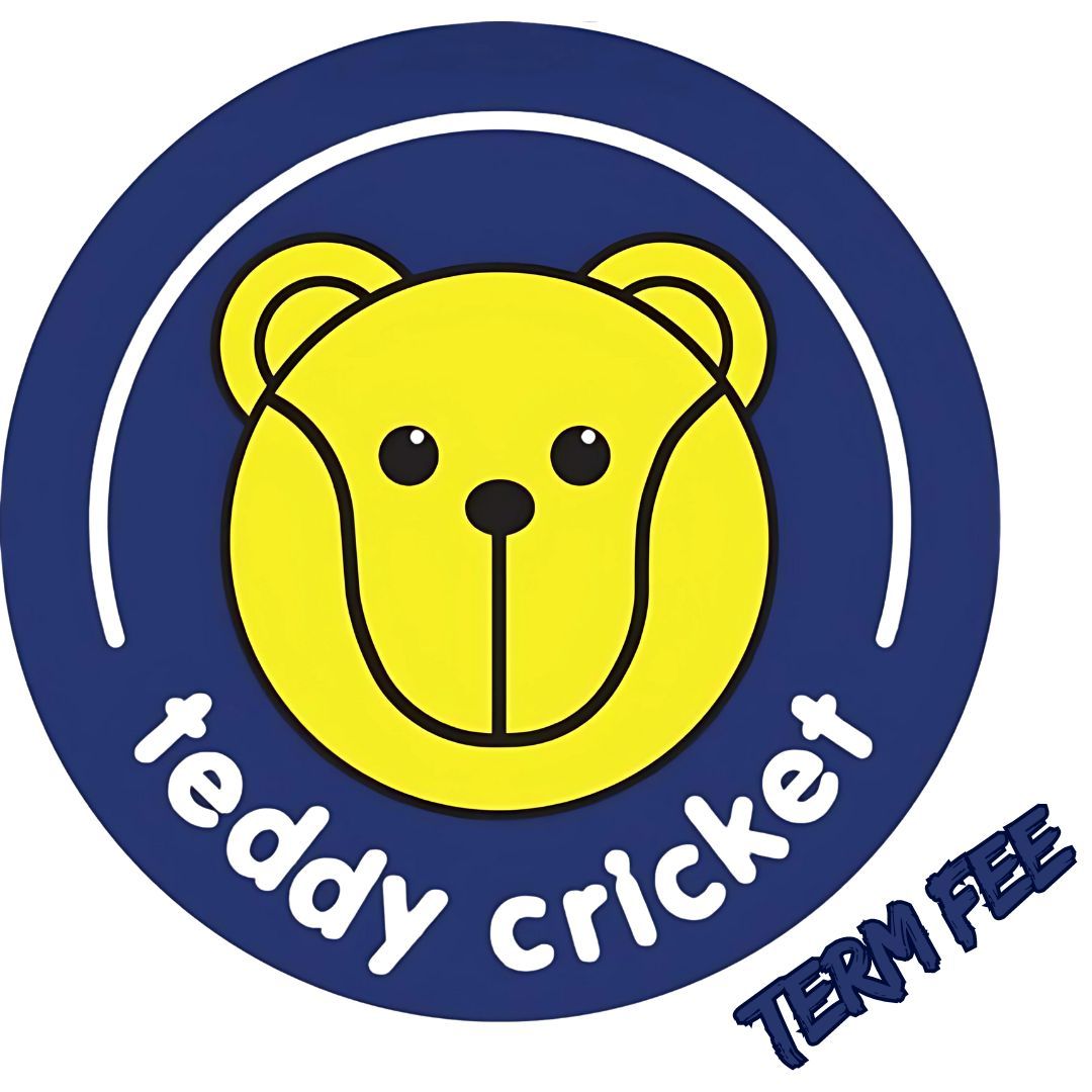 Teddy cricket Lessons