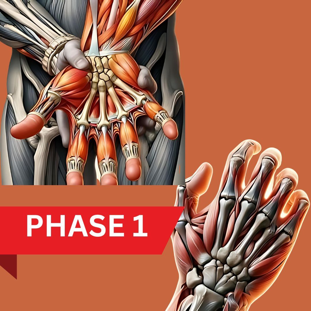 Cubital & Carpal tunnel phase 1