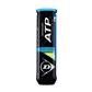 Dunlop ATP Championship 4-tin