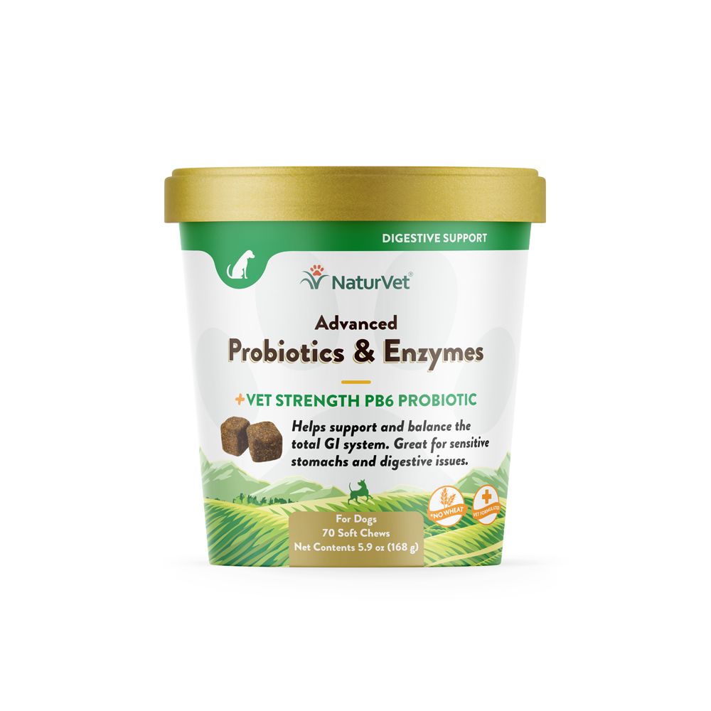 NaturVet Advanced Probiotics &amp; Enzymes Soft Chews for Dogs, Size: 70 Count