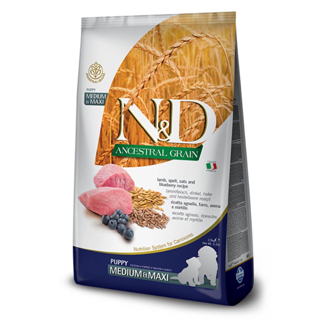 Farmina N&amp;D Ancestral Grain Lamb and Blueberry Dry Puppy Food, Kibble Size: Medium/Maxi, Package Size: 26.5LB