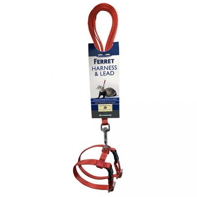 Marshall Harness and Lead Set for Ferrets