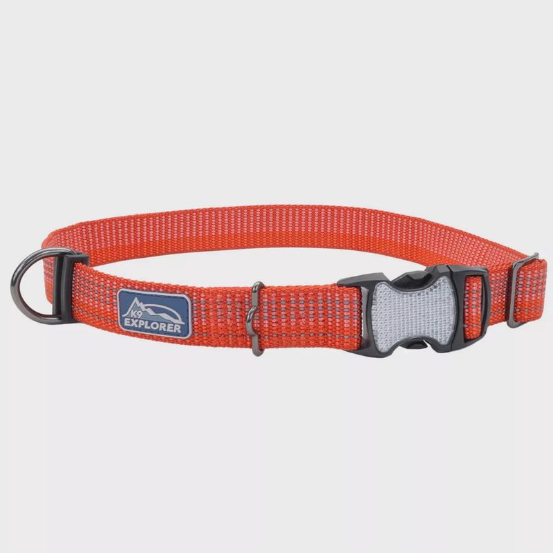 Coastal K9 Explorer Brights Reflective Adjustable Dog Collar