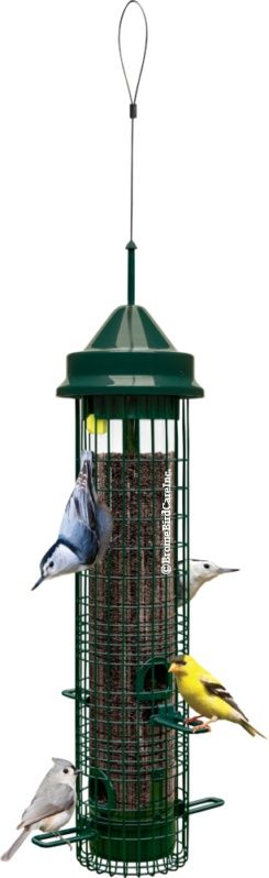 Brome Squirrel Buster Classic Bird Feeder
