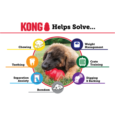 KONG Puppy Dog Toy - XS