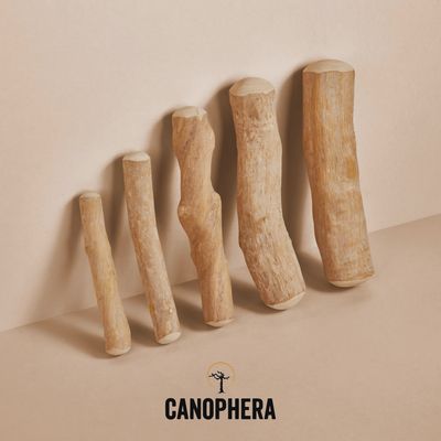 Canophera Chew Stick Coffee Wood Dog Chew