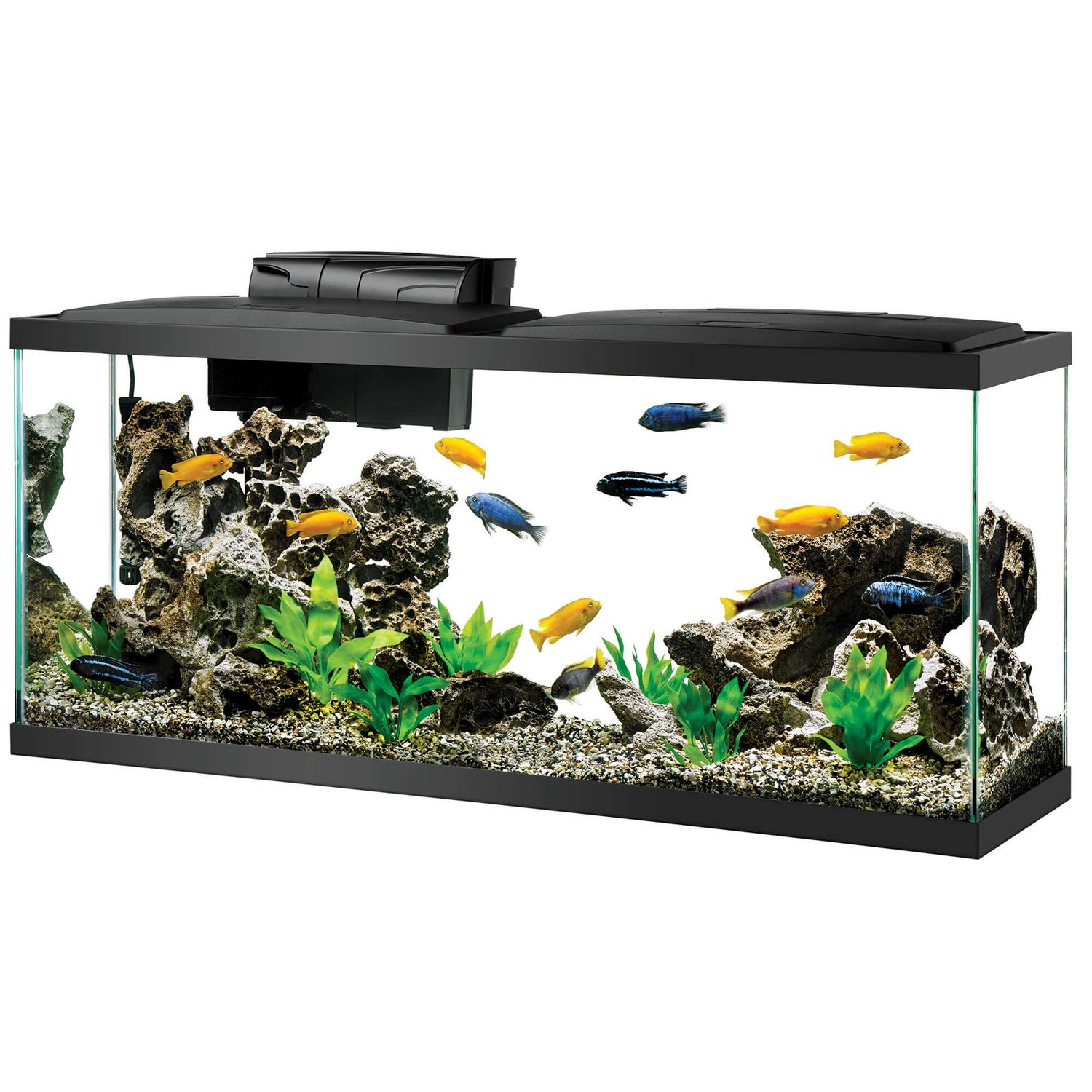 accessories for a 55 gallon fish tank Aqueon 55 Gallon LED Aquarium Starter Kit