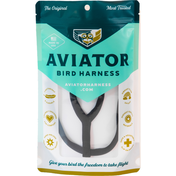 Aviator Bird Harness &amp; Leash, Size: Mini, Color: Black