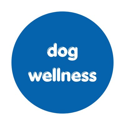 Health &amp; Wellness