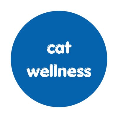 Health &amp; Wellness
