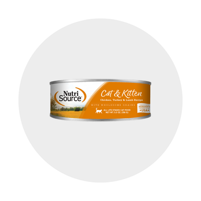 Wet Food