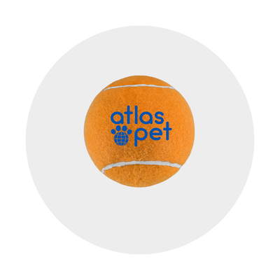Outdoor &amp; Fetch Toys