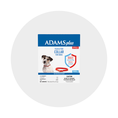 Flea, Tick, &amp; Pest Solutions