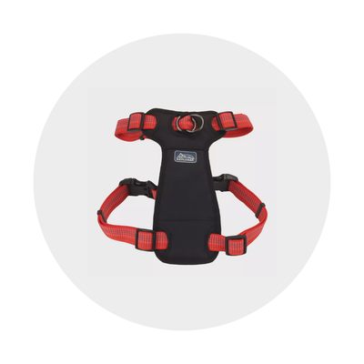 Collars, Harnesses, &amp; Leashes