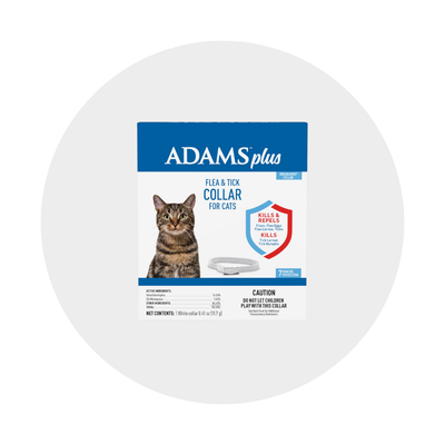 Flea, Tick, &amp; Pest Solutions