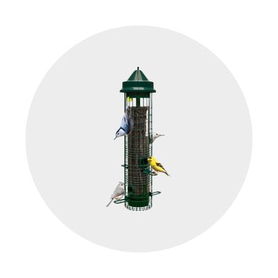 Seed Feeders