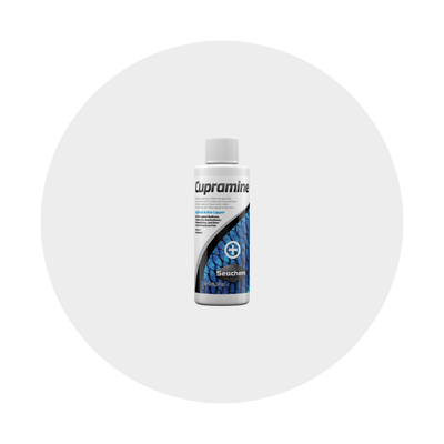Fish Illness &amp; Ailment Solutions