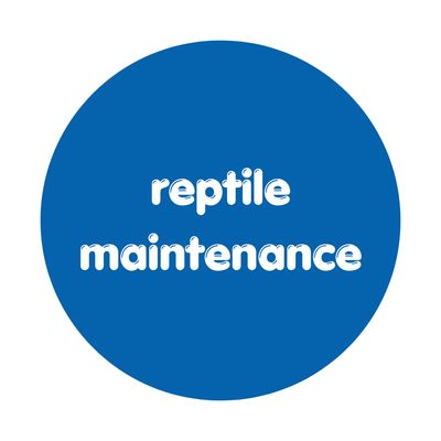 Maintenance Supplies