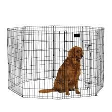 Midwest Homes 42&quot; Exercise Pen W/Door