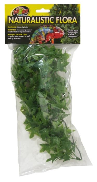 Zoo Med Natural Bush Congo Ivy Reptile Plant, Size: Small