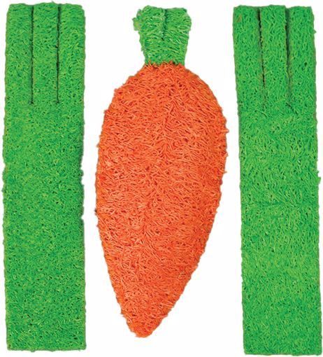 A&amp;E Cage Company Nibbles Loofah Carrot and Celery Small Animal Chew Toy