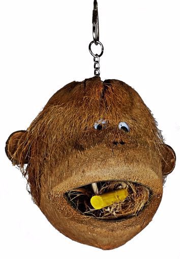 A&amp;E Cage Company Coco Monkey Pet Bird Toy