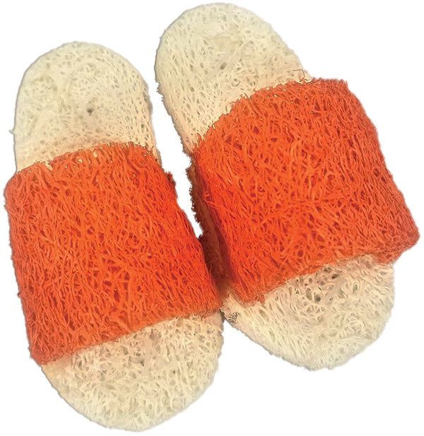 A&amp;E Cage Company Nibbles Loofah Sandals Small Animal Chew Toy