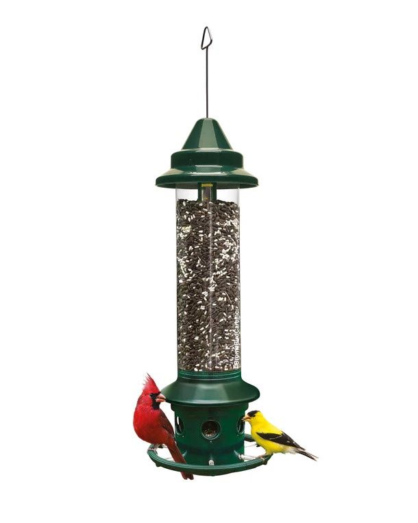 Brome Squirrel Buster Plus  Bird Feeder