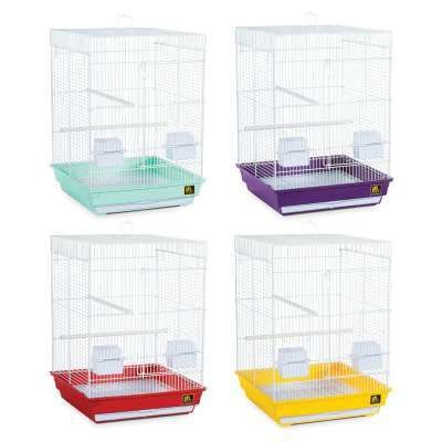 Prevue Pet Products Cockatiel Bird Cage 16&quot;L x 16&quot;W  x 22&quot;H