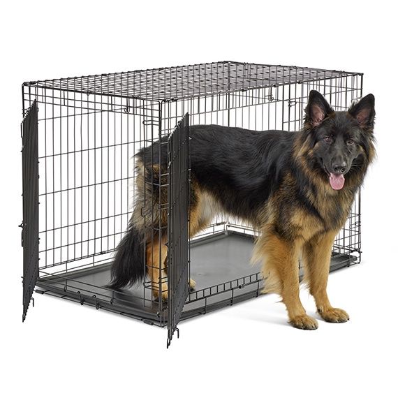 MidWest Homes for Pets Double Door Dog Crate, Size: 48 inch