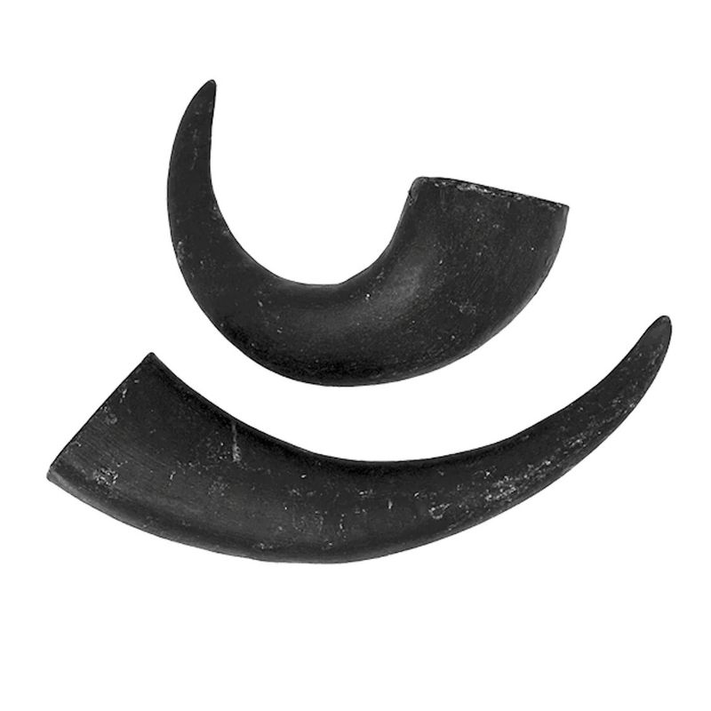 peaksNpaws Water Buffalo Horn All Natural Dog Chew