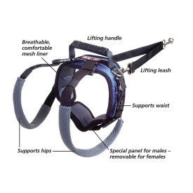 Petsafe Carelift Rear Support Harness