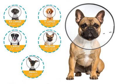 ZenPet E-Clear Recovery Collar for Dogs and Cats